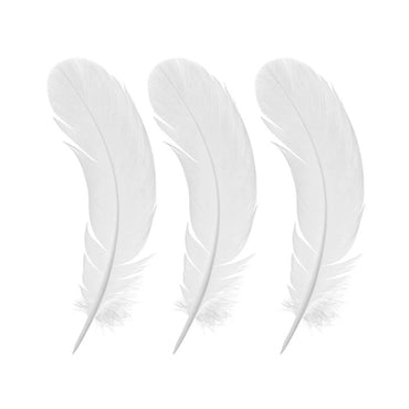 White Feather The Stationers